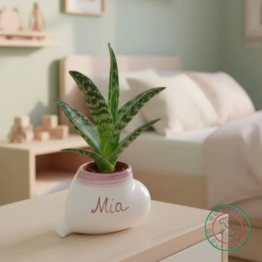 bomboniera porta piantina ceramica personalizzata pennellato rosa