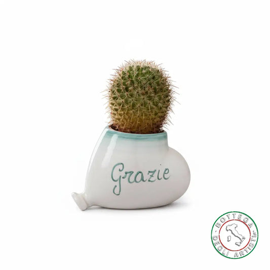 Bomboniera Porta Piantina Ceramica Personalizzata Pennellato Verde Acqua