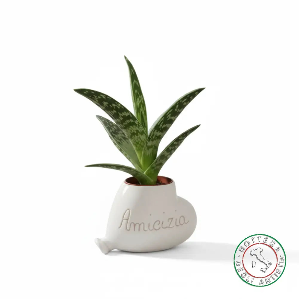 Bomboniera Porta Piantina Ceramica Personalizzata Graffito Emozioni Amicizia