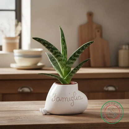 bomboniera porta piantina ceramica personalizzata graffito emozioni famiglia