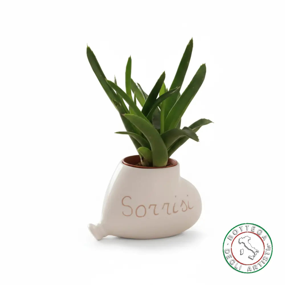 Bomboniera Porta Piantina Ceramica Personalizzata Graffito Emozioni Sorrisi