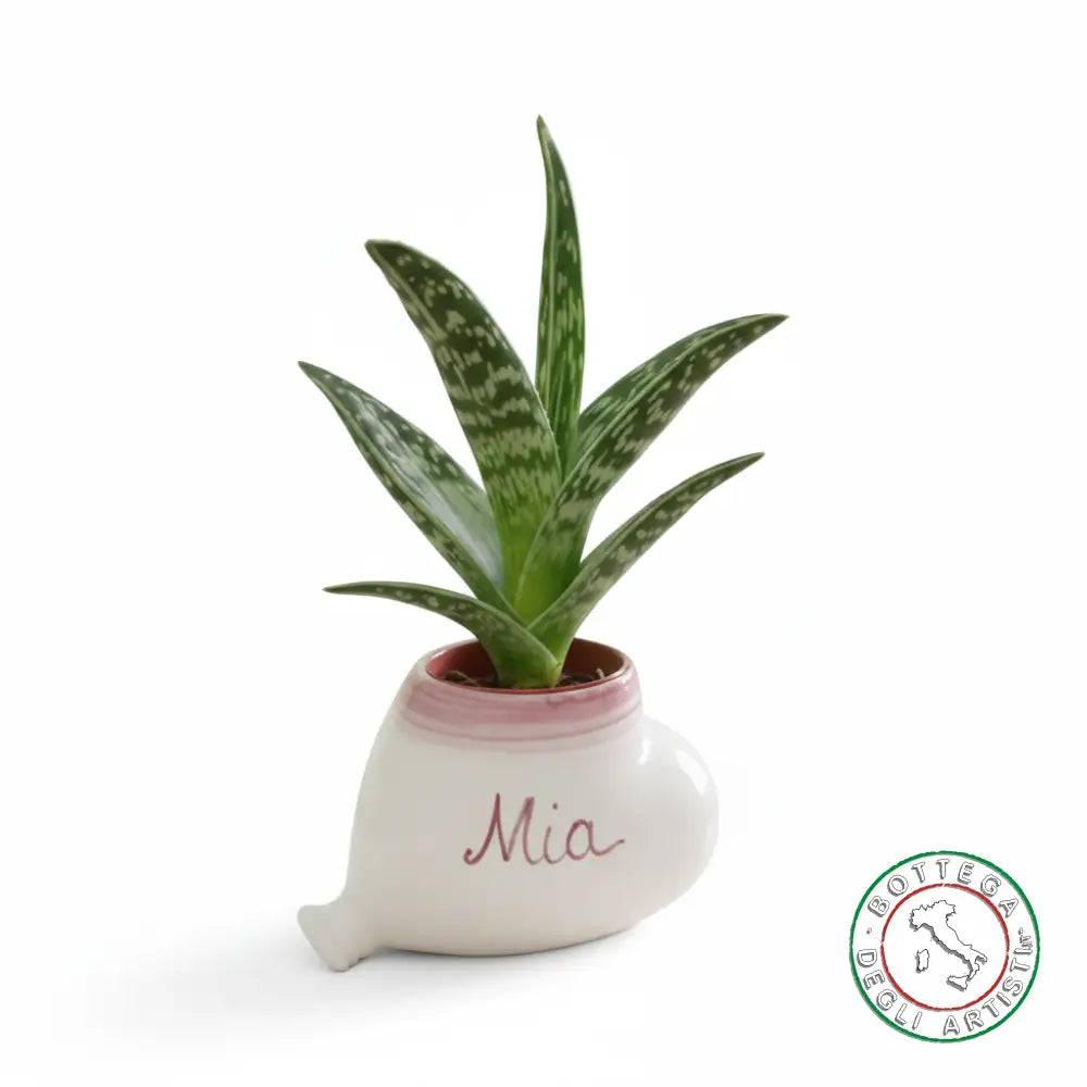 Bomboniera Porta Piantina Ceramica Personalizzata Pennellato Rosa