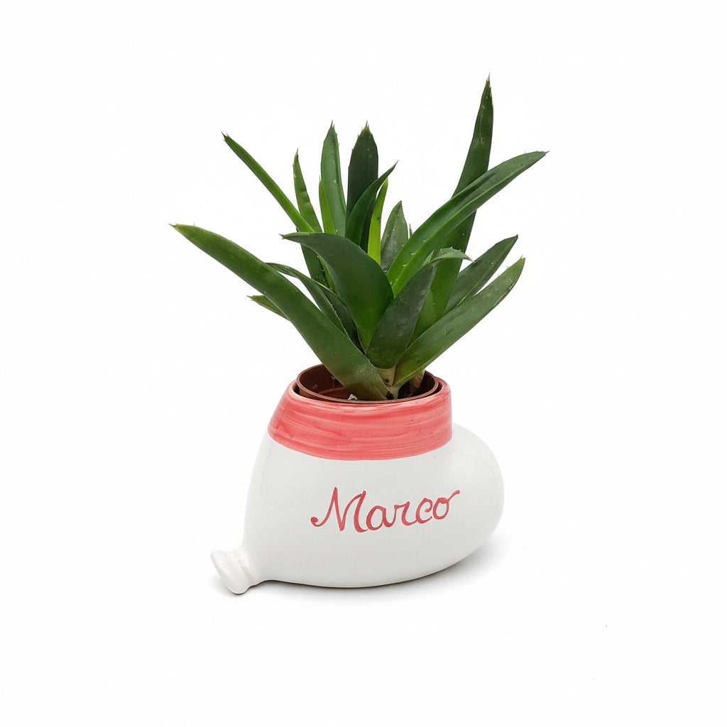 Bomboniera Porta Piantina Ceramica Personalizzata Pennellato Rosso