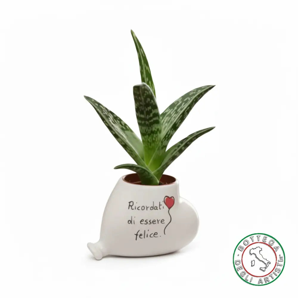 Personalisierter Keramik-Pflanzenhalter als Gastgeschenk. Denken Sie daran...