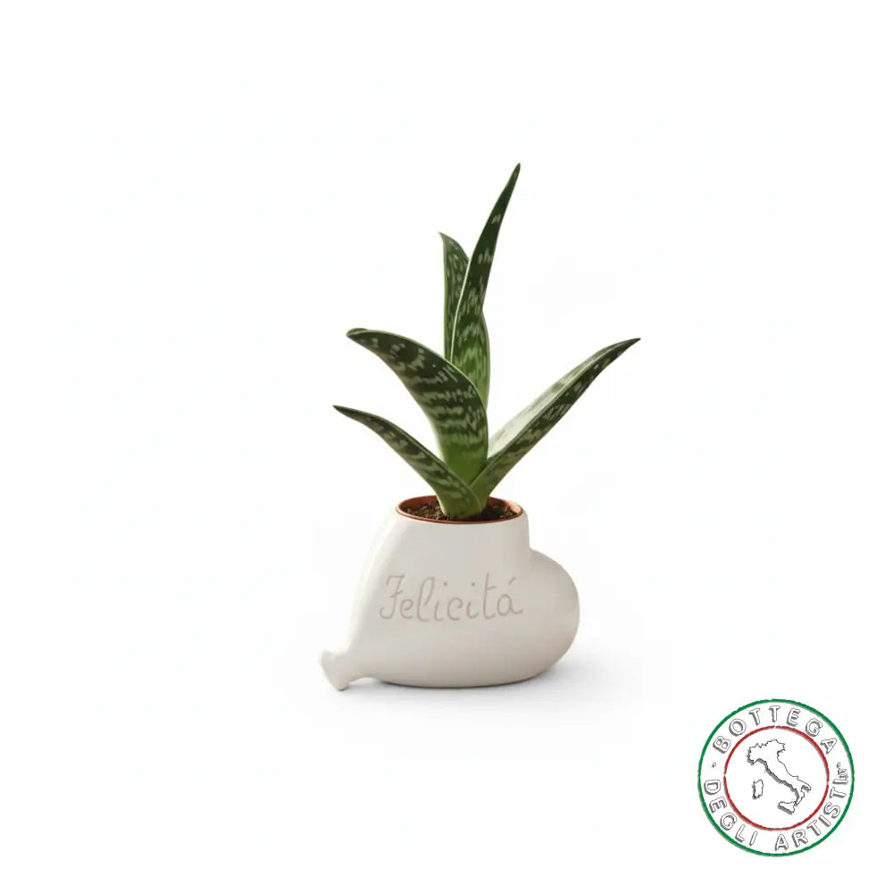 Bomboniera Porta Piantina Ceramica Personalizzata Graffito Emozioni Serenità