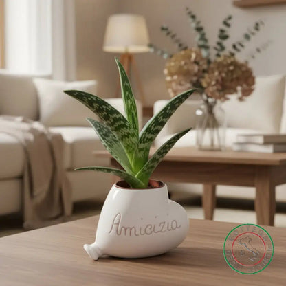 bomboniera porta piantina ceramica personalizzata graffito emozioni amicizia