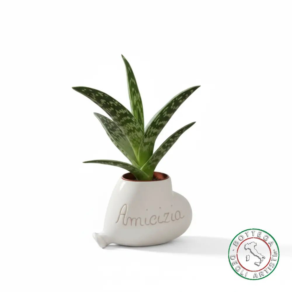 Bomboniera Porta Piantina Ceramica Personalizzata Graffito Emozioni Amicizia