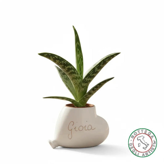 Bomboniera Porta Piantina Ceramica Personalizzata Graffito Emozioni Gioia