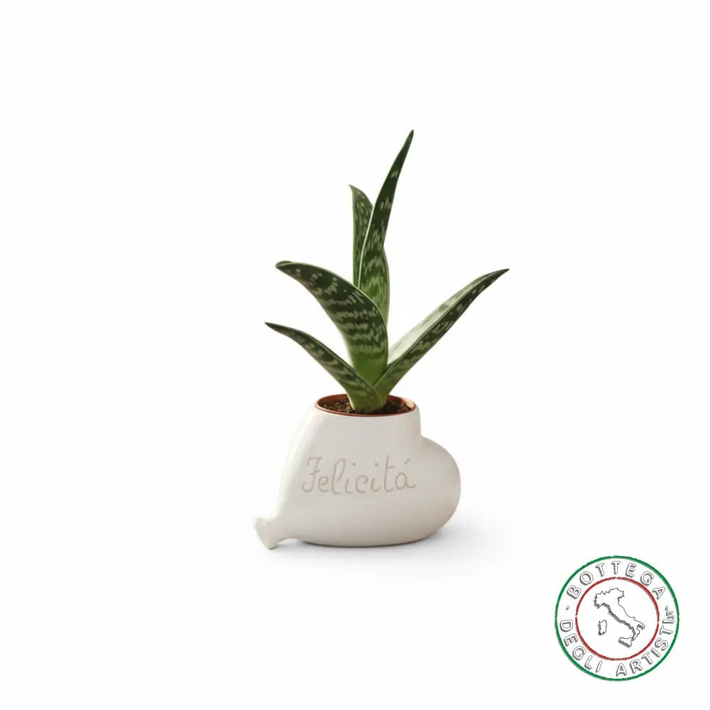 Bomboniera Porta Piantina Ceramica Personalizzata Graffito Emozioni Serenità